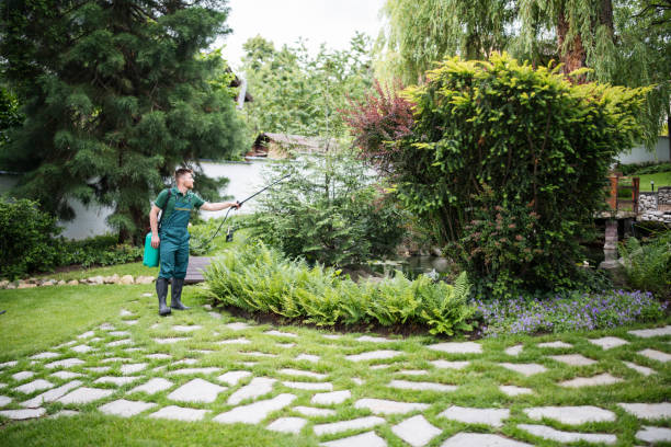 Best Mosquito Control Services  in Osage, IA