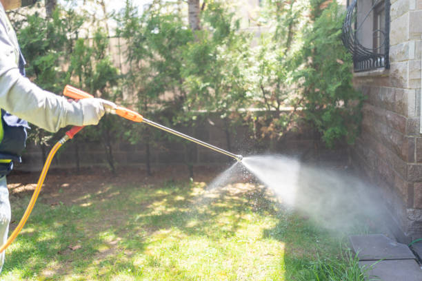 Best Flea Control Services  in Osage, IA