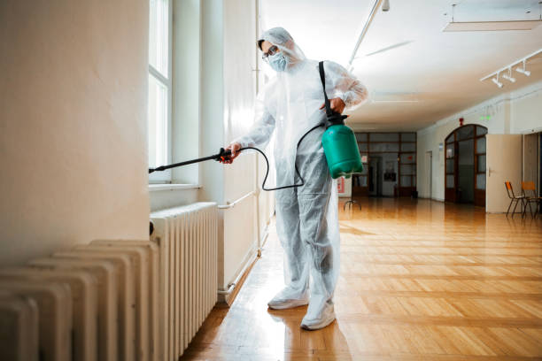 Best Termite Control Services  in Osage, IA