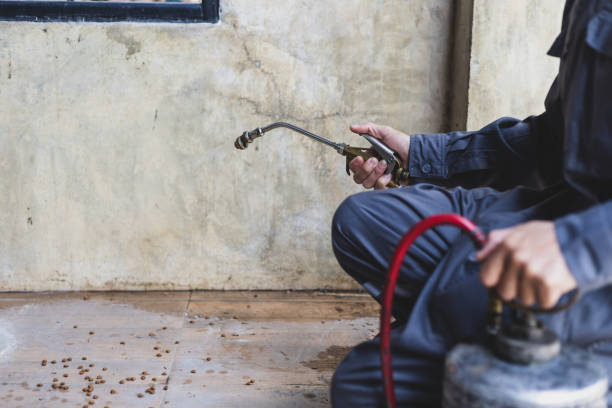 Best Flea Control Services  in Osage, IA