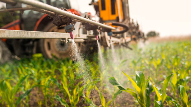 Best Mosquito Control Services  in Osage, IA